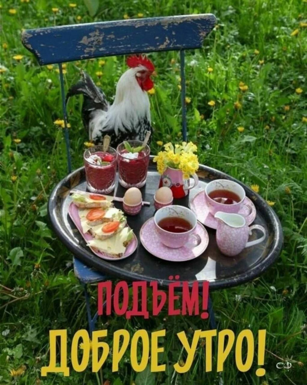 Доброе утро с петухом картинки
